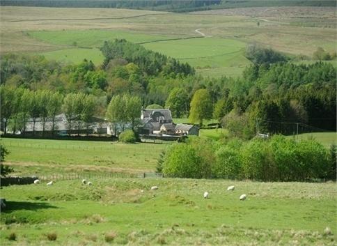 Abbotshaw House Farm B&B Newcastleton Exterior foto